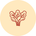Spinach